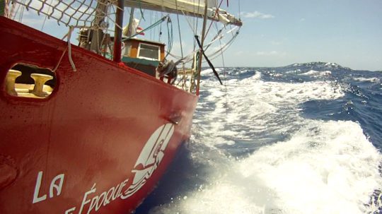 Und doch gehören Langkieler in den Southern Ocean