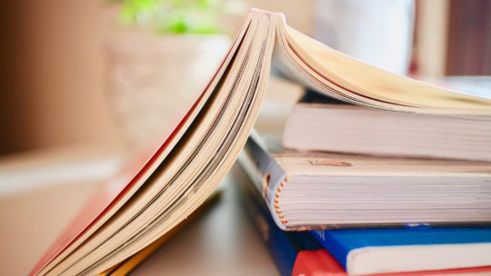ab Herbst: Segelbücher direkt kaufen